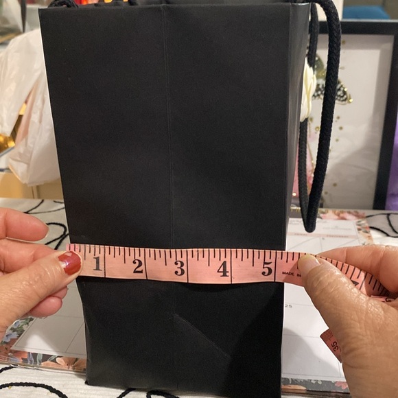 Chanel Gift Bag with Gift Box - Picture 12 of 16